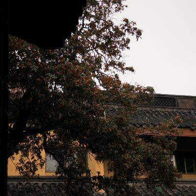 【MineSoul时节养生】立冬安,万物入藏的时刻 【MineSoul时节养生】立冬安,万物入藏的时刻