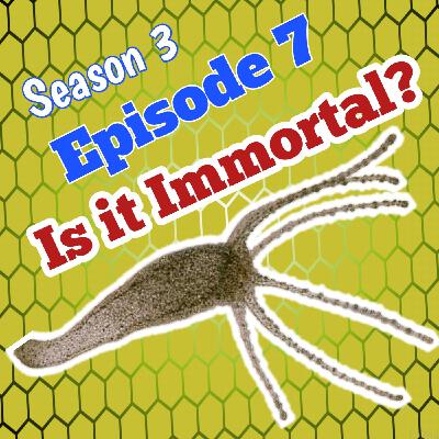 Is it Immortal?