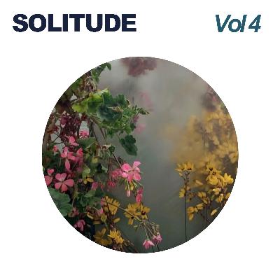 Solitude纯音#0dB脑波自习室 学习/读书/工作/冥想时刻 Solitude纯音#0dB脑波自习室 学习/读书/工作/冥想时刻