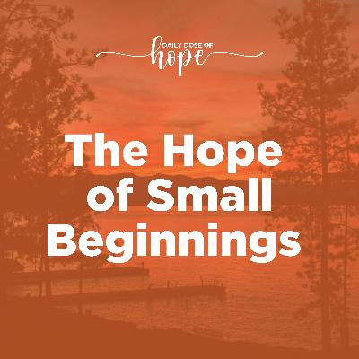 The Hope of Small Beginnings EP 236 The Hope of Small Beginnings EP 236