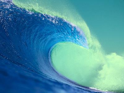 Voices of the Blue Wave - Frankie