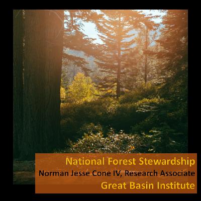 Local Forest Stewardship - Research Associate – Norman Cone IV - Great Basin Institute