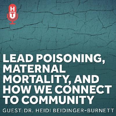 Lead Poisoning, Maternal Mortality, and How We Connect to Community Lead Poisoning, Maternal Mortality, and How We Connect to Community