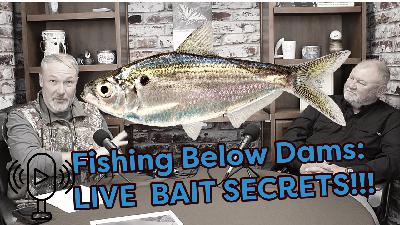 Live Bait Fishing Below Dams: Pro Tips from a Retired Game Warden! (Catfish & Striper Secrets) Live Bait Fishing Below Dams: Pro Tips from a Retired Game Warden! (Catfish & Striper Secrets)