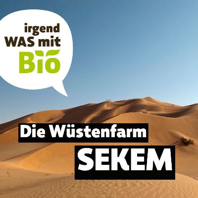 66 - Die Wüstenfarm SEKEM