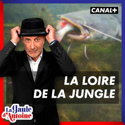 #2 - La Loire de la Jungle #2 - La Loire de la Jungle