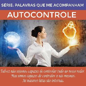 17 - Auto Controle