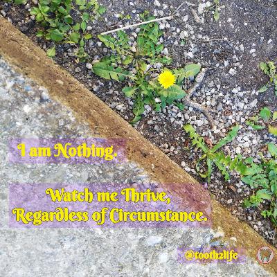 Truth to Life via Krishnamurti | Radical Change in Life
