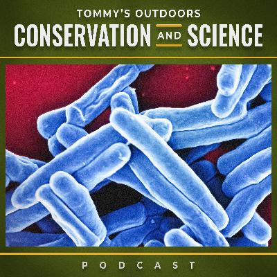 203: TB in Deer: An Irish Hunter's Guide to the Uncomfortable Reality