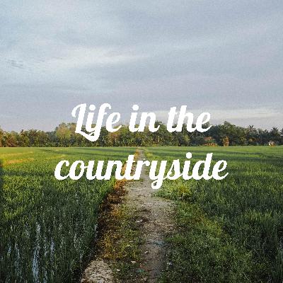 #0 - Life in the Countryside - Trailer