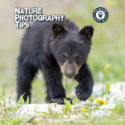 Nature Photography Tips with The Nature Photo Guys!