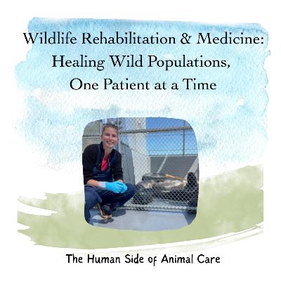 Wildlife Rehabilitation & Medicine: Healing Wild Populations, One Patient at a Time