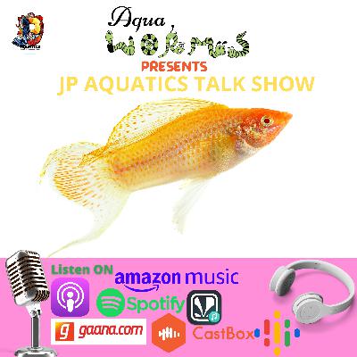 5 Interesting Facts about Molly 5 Interesting Facts about Molly