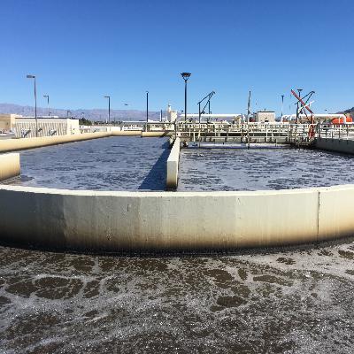 Giving Credit Where Credit Is Due: Virus Removal During Secondary Wastewater Treatment