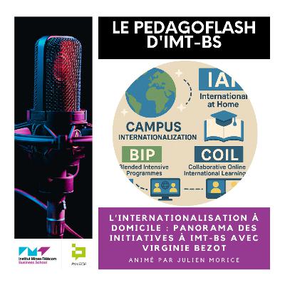 #24 - L'internationalisation à domicile : panorama des initiatives à IMT-BS avec Virginie Bezot