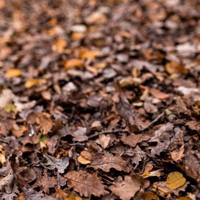 #047 - Coming in Touch With That Feeling [Cosmic Dynamics]