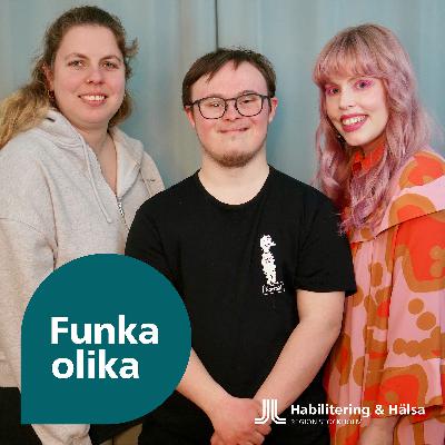Vänskap och intellektuell funktionsnedsättning