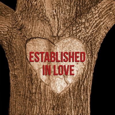 Established in Love Established in Love