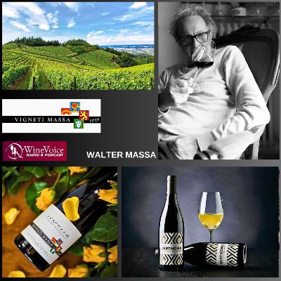 Protagonisti: WALTER MASSA, una nuova visione per tutto il comparto del Derthona!