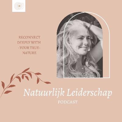 #18 Deze Inzichten En Lessen Leer Ik Over Mezelf Tijdens Dit Mega Project (zelf Een Camper Bouwen)