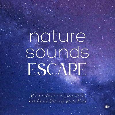 1 Hour Of Relaxing White Noise & Cosmic Calm | Relaxing Nature Sounds For Sleep, Meditation, Relaxation, Studying Or Focus | Sleep Music, Sleep Sounds, Study Music, Zen, Sleep Fast, White Noise, Brown Noise, Rain, Música Relajante Para Dormir