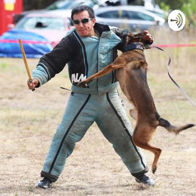 Protection Sports. Good or Bad