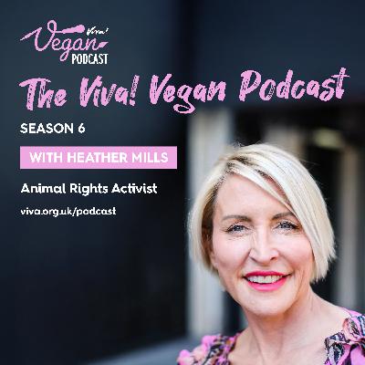 From Setbacks to Solutions: The Truth About Resilience - Heather Mills