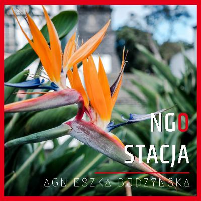 107: Maksymalna efektywność: jak zaplanować budżet w projekcie rozwojowym?