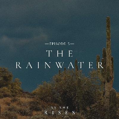 The Rainwater