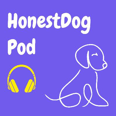 Episode #1: Über uns