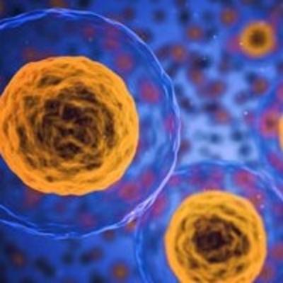 Booster le système immunitaire (pod1) Booster le système immunitaire (pod1)