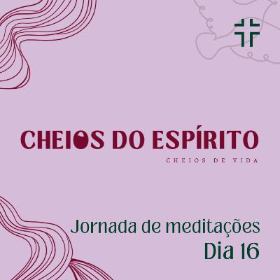 JORNADA DE MEDITAÇÕES - Cheios do Espírito, cheios de vida - dia 16