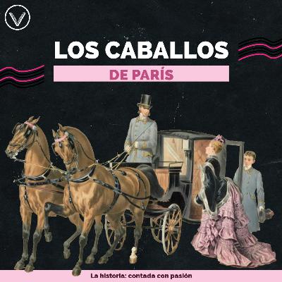 🐎 Historia de los caballos de París 🌆 🐎 Historia de los caballos de París 🌆