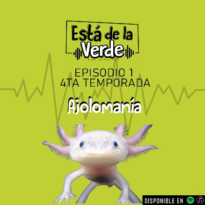 Ajolomanía Ajolomanía