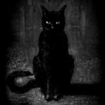 El Gato De La Bruja | Relato De Terror Ocurrido En México El Gato De La Bruja | Relato De Terror Ocurrido En México