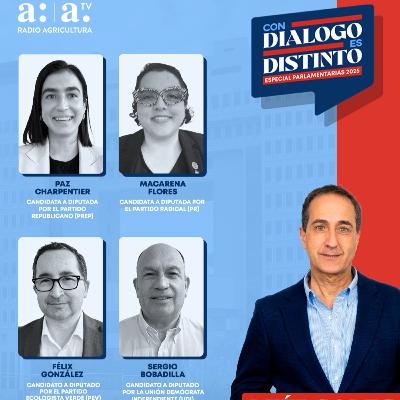 CDED Especial Parlamentarias 2025 | Distrito 20: Propuestas para la Región del Biobío