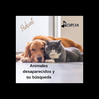 ANIMALES DESAPARECIDOS Y COMUNICACIÓN ANIMAL