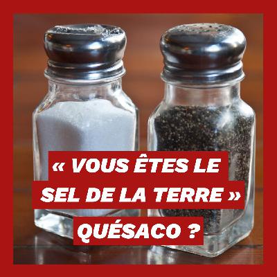 Comment ça « vous êtes le sel de la terre » ?