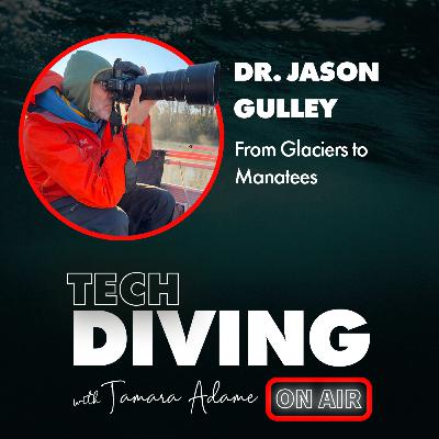 From Glaciers to Manatees. Dr. Jason Gulley