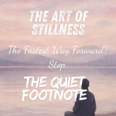 The Art of Stillness by Pico Iyer | Why Stopping Can Move You Forward