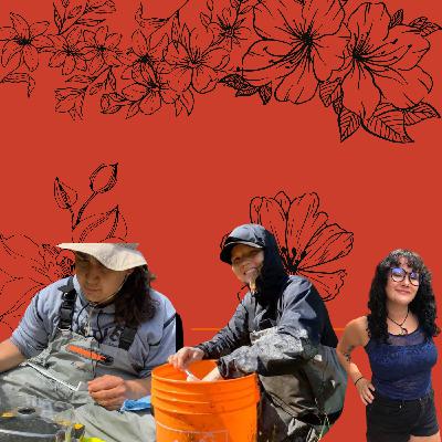 Episode 2: River Restoration in Pacheedaht First Nation with Trystan and Sophie Episode 2: River Restoration in Pacheedaht First Nation with Trystan and Sophie