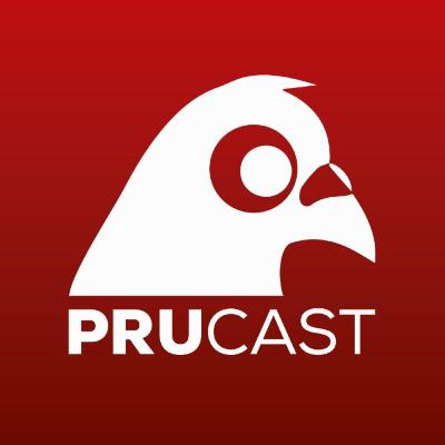 Prunews #015 Só 3800 Playstation 4 para Mineração, Elon Musk de Carona no Foguete, AMD RX 6600XT