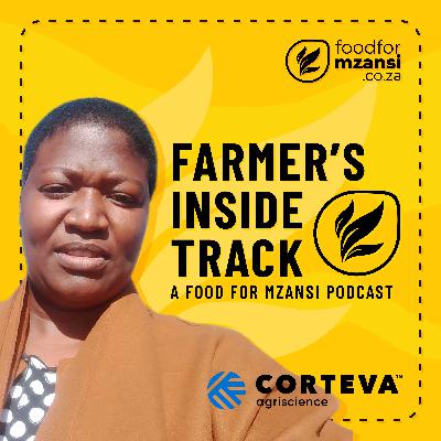 How SoilSistas empowers women farmers in South Africa