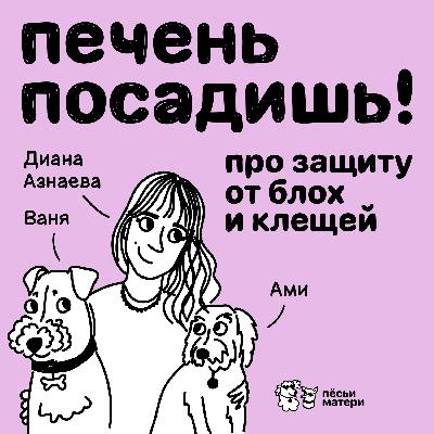 Печень посадишь! Про защиту от блох и клещей.