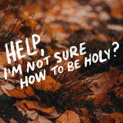Help, I’m Not Sure How to be Holy?