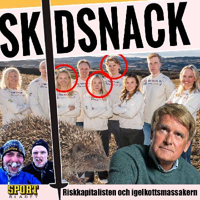 220. Riskkapitalisten och igelkottsmassakern