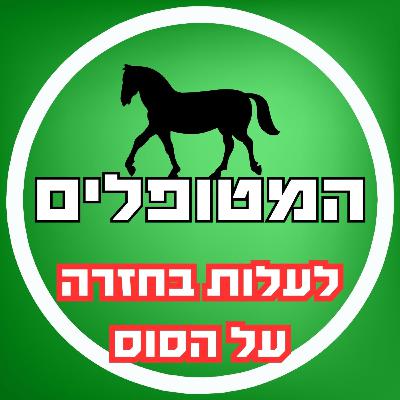 פרק54 - לעלות בחזרה על הסוס