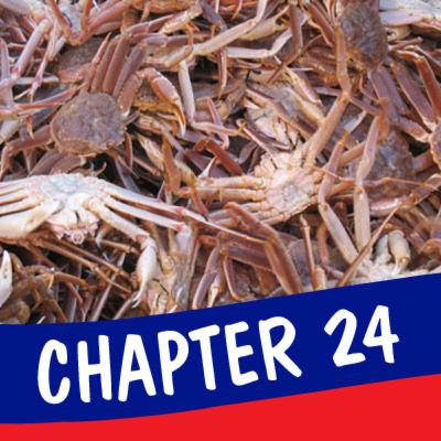 Chapter 24: Acquisitions of the '80s