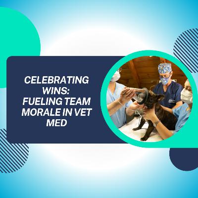 Celebrating Wins: Fueling Team Morale in Vet Med