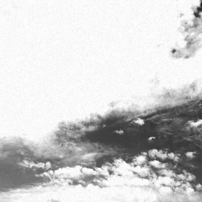 Vivantes - Prémices